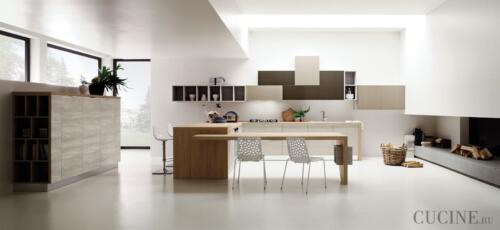 Arrex Cedro